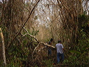 dsc00460